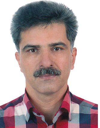فیروزه چی